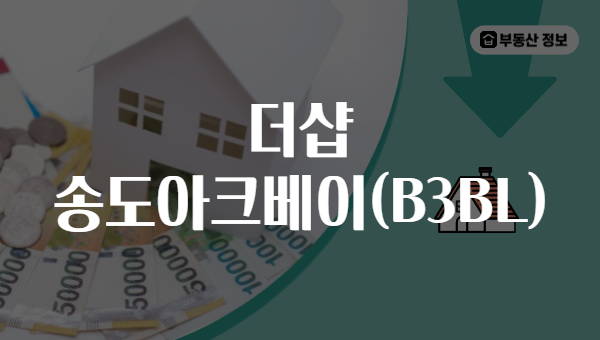 더샵 송도아크베이(B3BL)