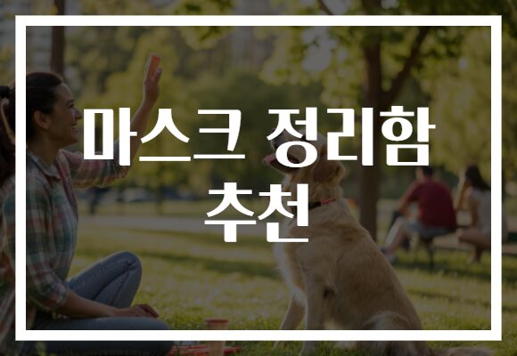 마스크 정리함 추천