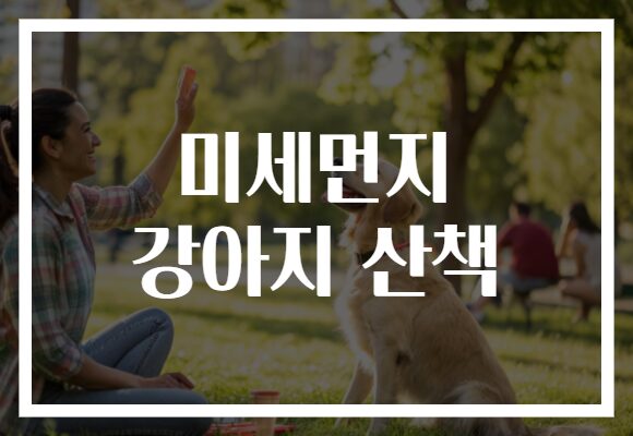 미세먼지 강아지 산책