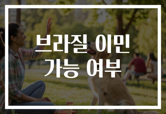 브라질 이민 가능 여부