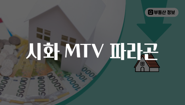시화 MTV 파라곤