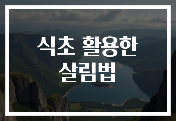 식초 활용한 살림법