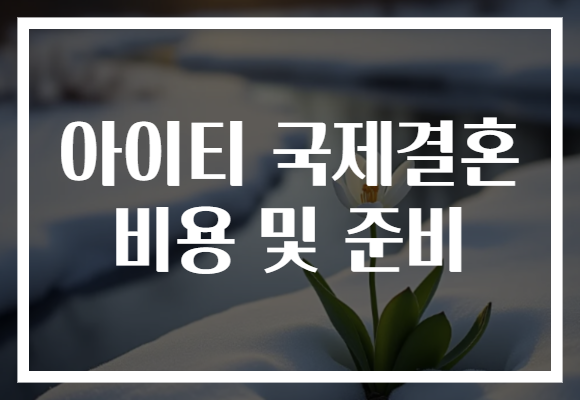 아이티 국제결혼 비용 및 준비