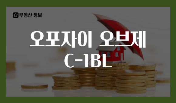 오포자이 오브제 C-1BL
