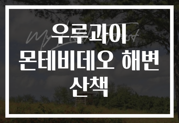 우루과이 몬테비데오 해변 산책