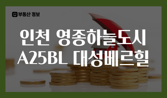 인천 영종하늘도시 A25BL 대성베르힐