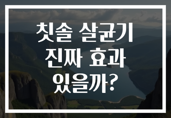 칫솔 살균기 진짜 효과 있을까?