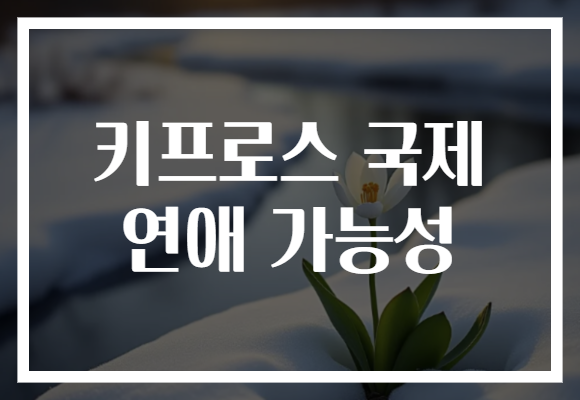 키프로스 국제 연애 가능성