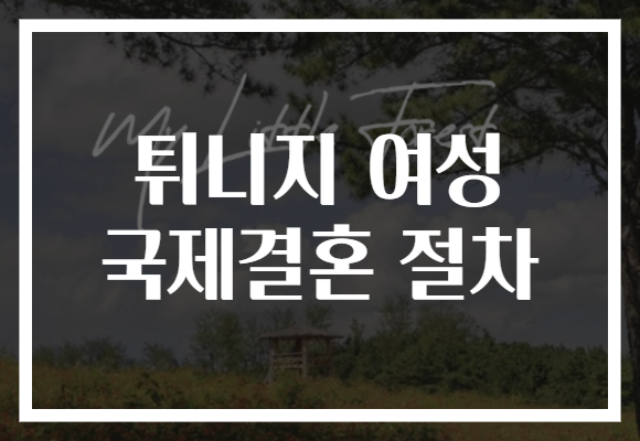 튀니지 여성 국제결혼 절차