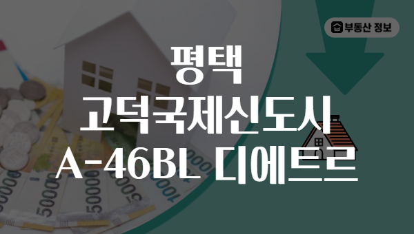 평택 고덕국제신도시 A-46BL 디에트르