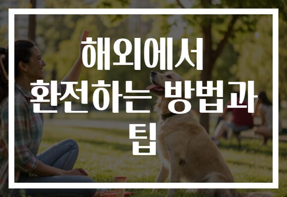 해외에서 환전하는 방법과 팁