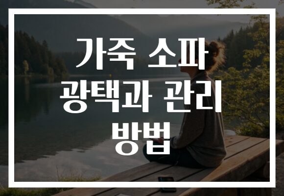 가죽 소파 광택과 관리 방법