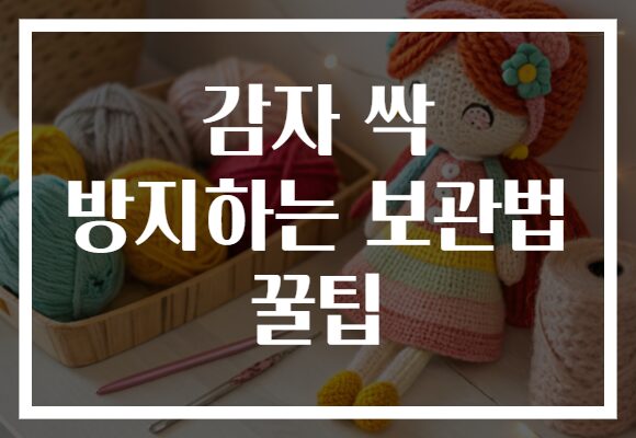 감자 싹 방지하는 보관법 꿀팁