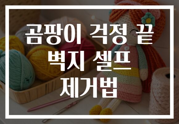 곰팡이 걱정 끝 벽지 셀프 제거법