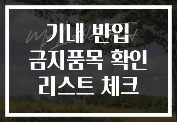 기내 반입 금지품목 확인 리스트 체크