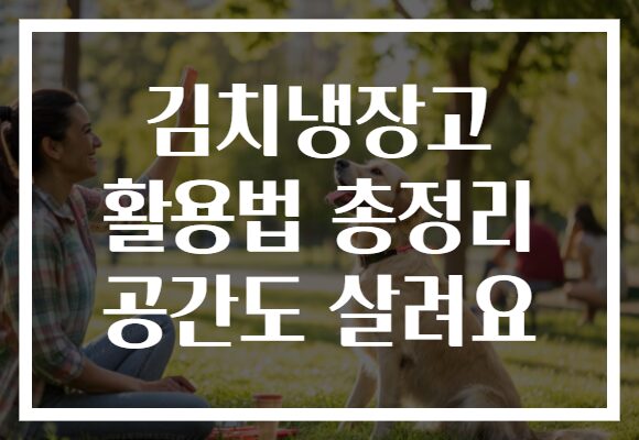 김치냉장고 활용법 총정리 공간도 살려요