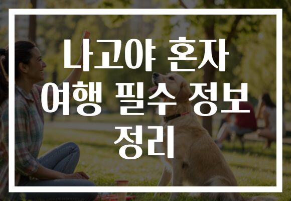 나고야 혼자 여행 필수 정보 정리