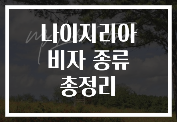 나이지리아 비자 종류 총정리