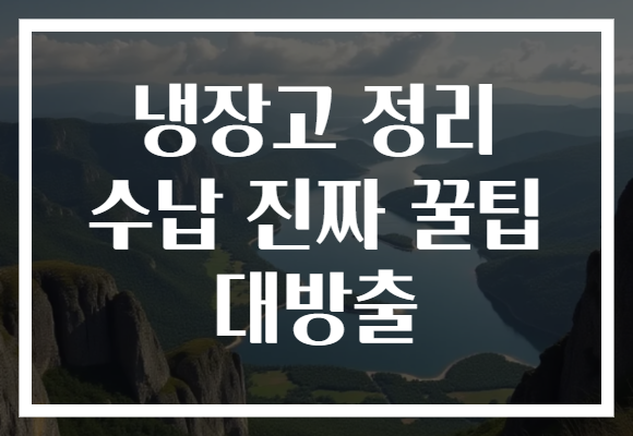 냉장고 정리 수납 진짜 꿀팁 대방출