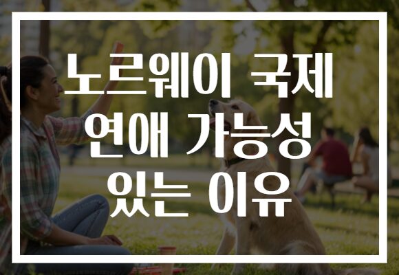 노르웨이 국제 연애 가능성 있는 이유