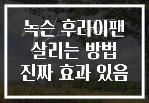 녹슨 후라이팬 살리는 방법 진짜 효과 있음