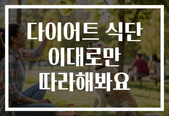 다이어트 식단 이대로만 따라해봐요