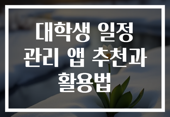 대학생 일정 관리 앱 추천과 활용법