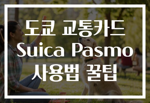 도쿄 교통카드 Suica Pasmo 사용법 꿀팁