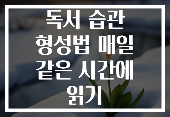 독서 습관 형성법 매일 같은 시간에 읽기