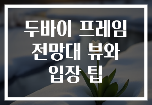 두바이 프레임 전망대 뷰와 입장 팁