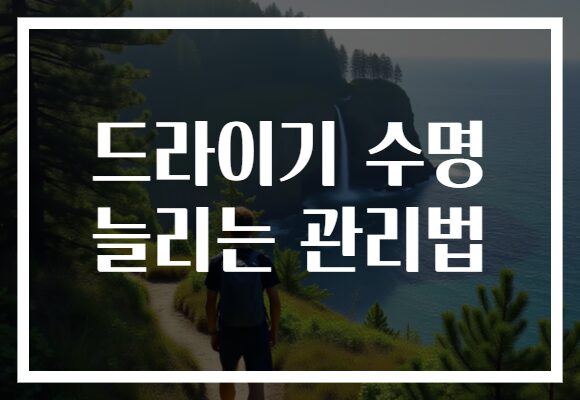 드라이기 수명 늘리는 관리법