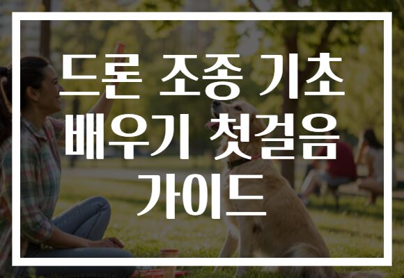 드론 조종 기초 배우기 첫걸음 가이드