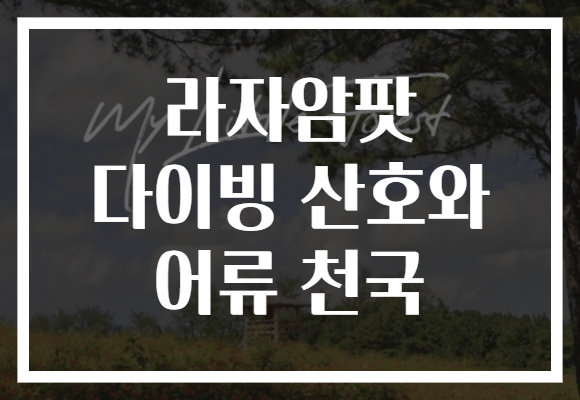 라자암팟 다이빙 산호와 어류 천국