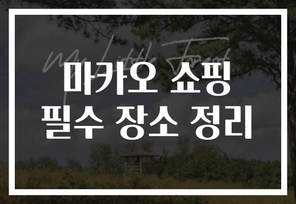 마카오 쇼핑 필수 장소 정리
