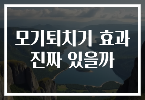 모기퇴치기 효과 진짜 있을까