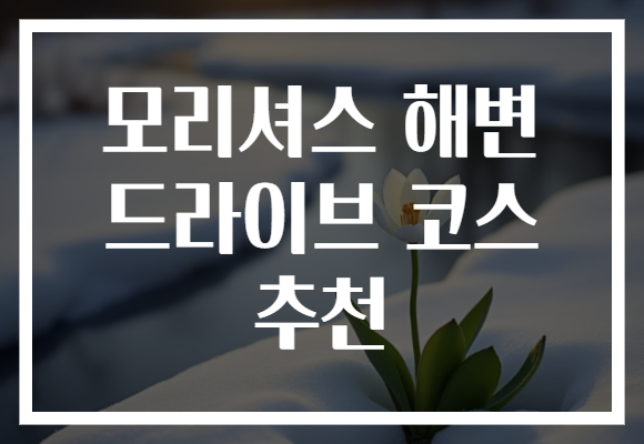모리셔스 해변 드라이브 코스 추천