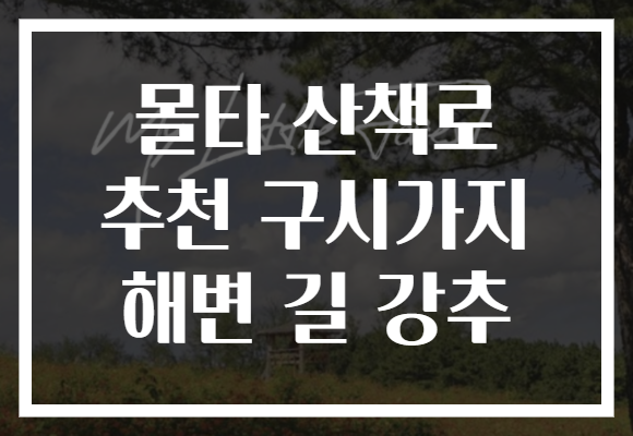 몰타 산책로 추천 구시가지 해변 길 강추