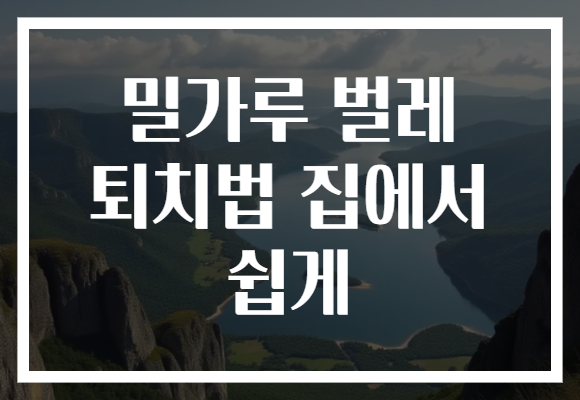 밀가루 벌레 퇴치법 집에서 쉽게
