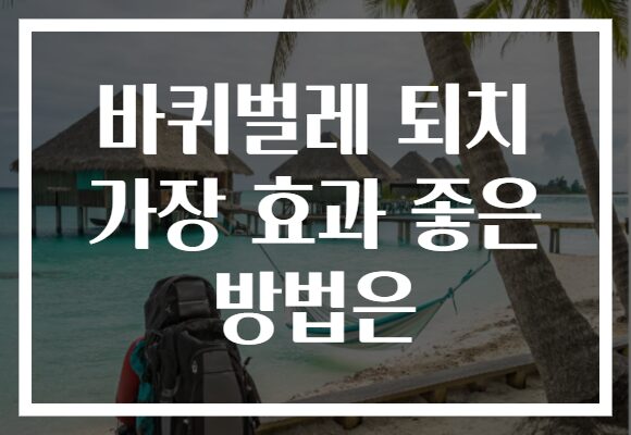 바퀴벌레 퇴치 가장 효과 좋은 방법은