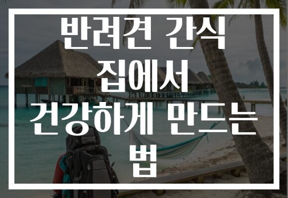 반려견 간식 집에서 건강하게 만드는 법