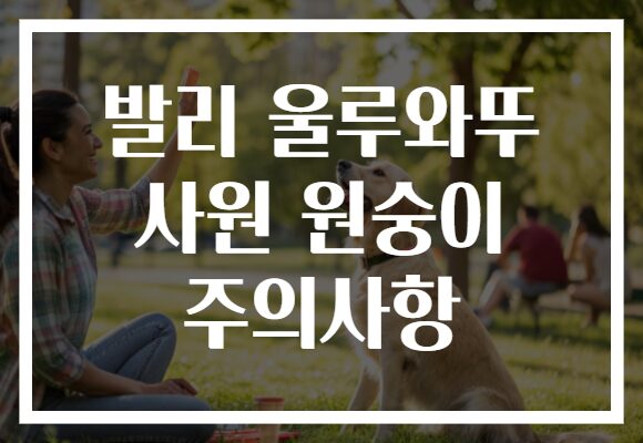 발리 울루와뚜 사원 원숭이 주의사항
