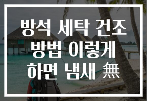 방석 세탁 건조 방법 이렇게 하면 냄새 無
