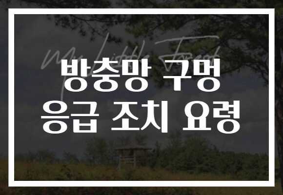 방충망 구멍 응급 조치 요령