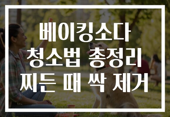 베이킹소다 청소법 총정리 찌든 때 싹 제거