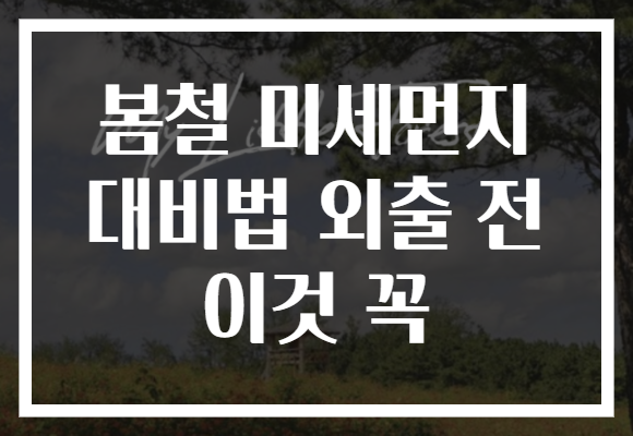봄철 미세먼지 대비법 외출 전 이것 꼭