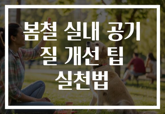 봄철 실내 공기 질 개선 팁 실천법