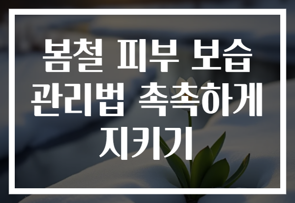 봄철 피부 보습 관리법 촉촉하게 지키기