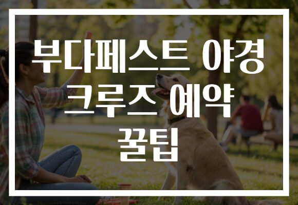 부다페스트 야경 크루즈 예약 꿀팁