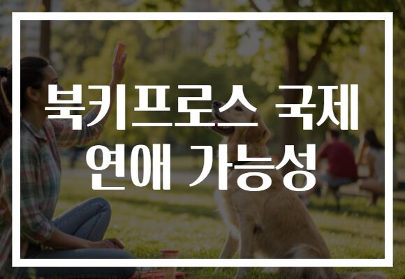 북키프로스 국제 연애 가능성