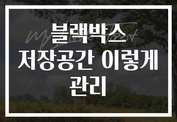 블랙박스 저장공간 이렇게 관리